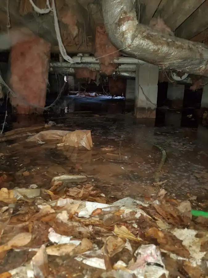 Crawl space flood assessment for Commercial Water Damage Restoration in Cave Spring